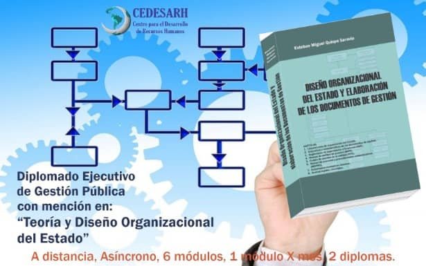 Diplomado Teoría y Diseño Organizacional del Estado